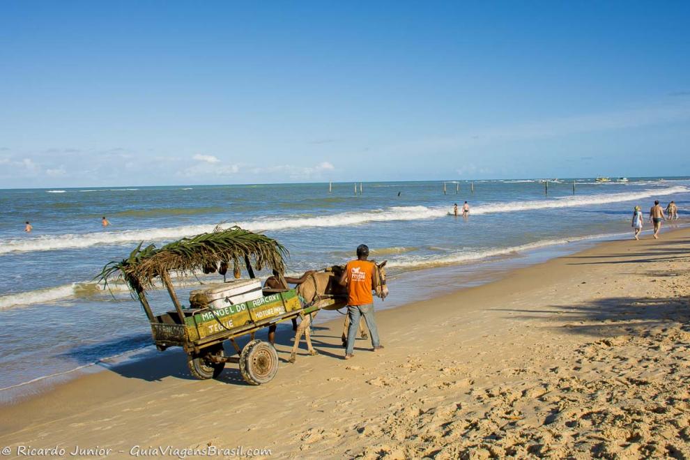 Imagem de um moço puxando uma charrete vendendo abacaxi na Praia dos Coqueiros.